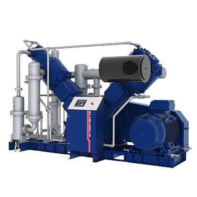 Компрессор поршневой DALGAKIRAN PETMASTER 220 VSD Компрессор поршневой DALGAKIRAN PETMASTER 220 VSD