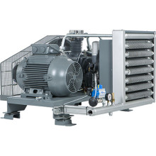 Компрессор поршневой DALGAKIRAN DBK-30 (O) Компрессор поршневой DALGAKIRAN DBK-30 (O)