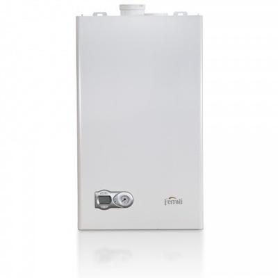 Настенный газовый котел Ferroli FORTUNA F 24 (GCKG6KYA) Настенный газовый котел Ferroli FORTUNA F 24 (GCKG6KYA)