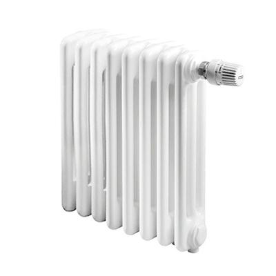 Радиатор отопления IRSAP TESI 30565/08 №25 (RR305650801A425N01) Радиатор отопления IRSAP TESI 30565/08 №25 (RR305650801A425N01)