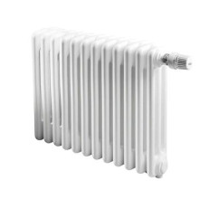 Радиатор отопления IRSAP TESI 30365/12 №25 (RR303651201A425N01) Радиатор отопления IRSAP TESI 30365/12 №25 (RR303651201A425N01)