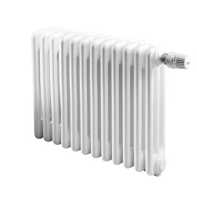 Радиатор отопления IRSAP TESI 30365/12 №25 (RR303651201A425N01) Радиатор отопления IRSAP TESI 30365/12 №25 (RR303651201A425N01)