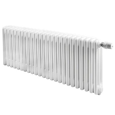 Радиатор отопления IRSAP TESI 30365/24 №25 (RR303652401A425N01) Радиатор отопления IRSAP TESI 30365/24 №25 (RR303652401A425N01)