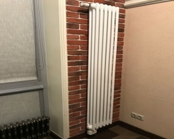 Радиатор отопления Arbonia 3180/06 N69 твв RAL 9016 Радиатор отопления Arbonia 3180/06 N69 твв RAL 9016